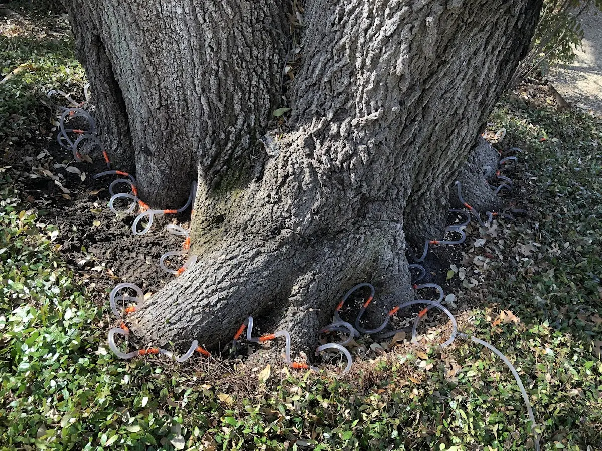 Detailed Shrub and Hedge Trimming job site in Larsen