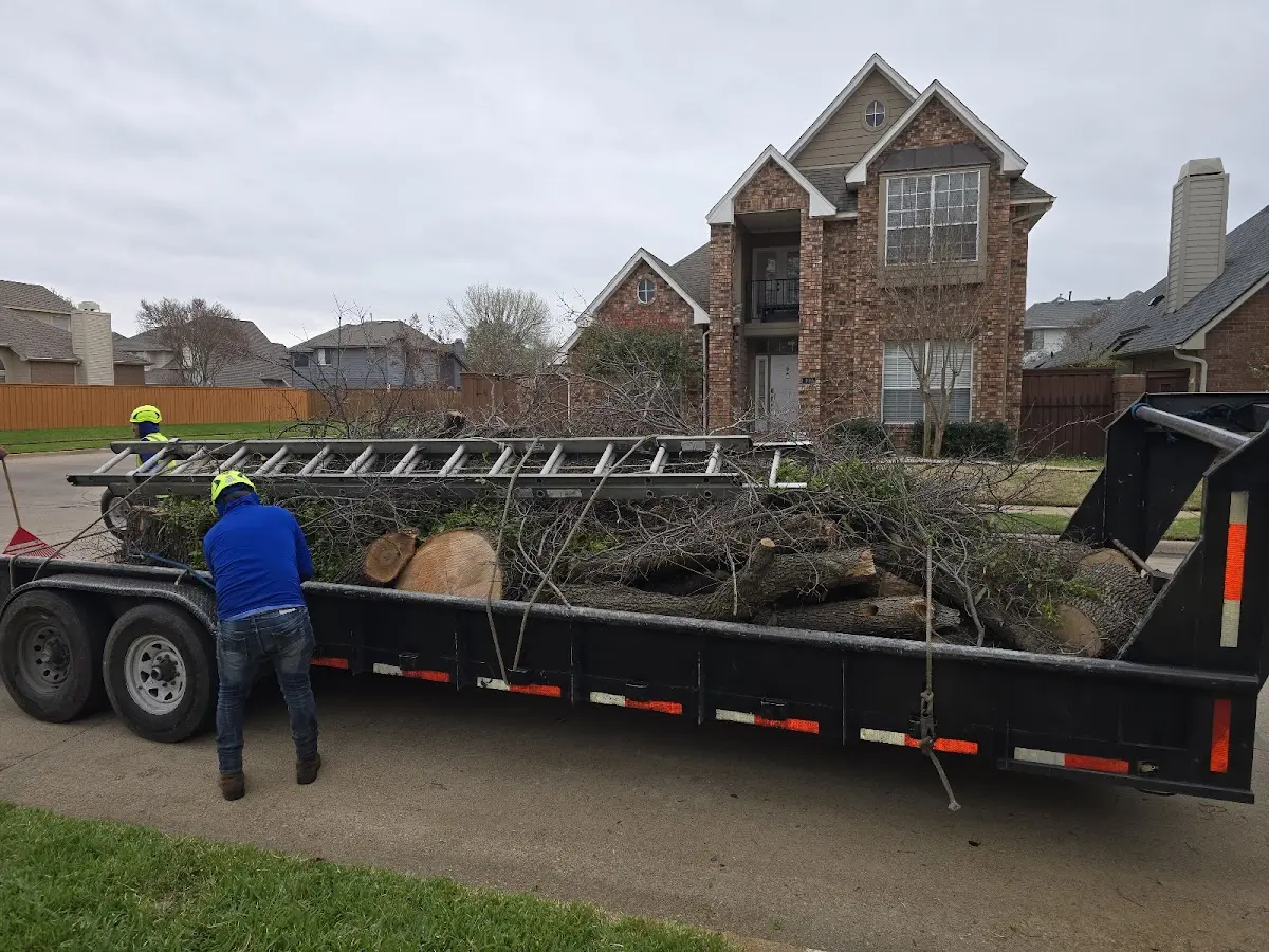 Expert Tree Fertilization with proper safety equipment in Larsen